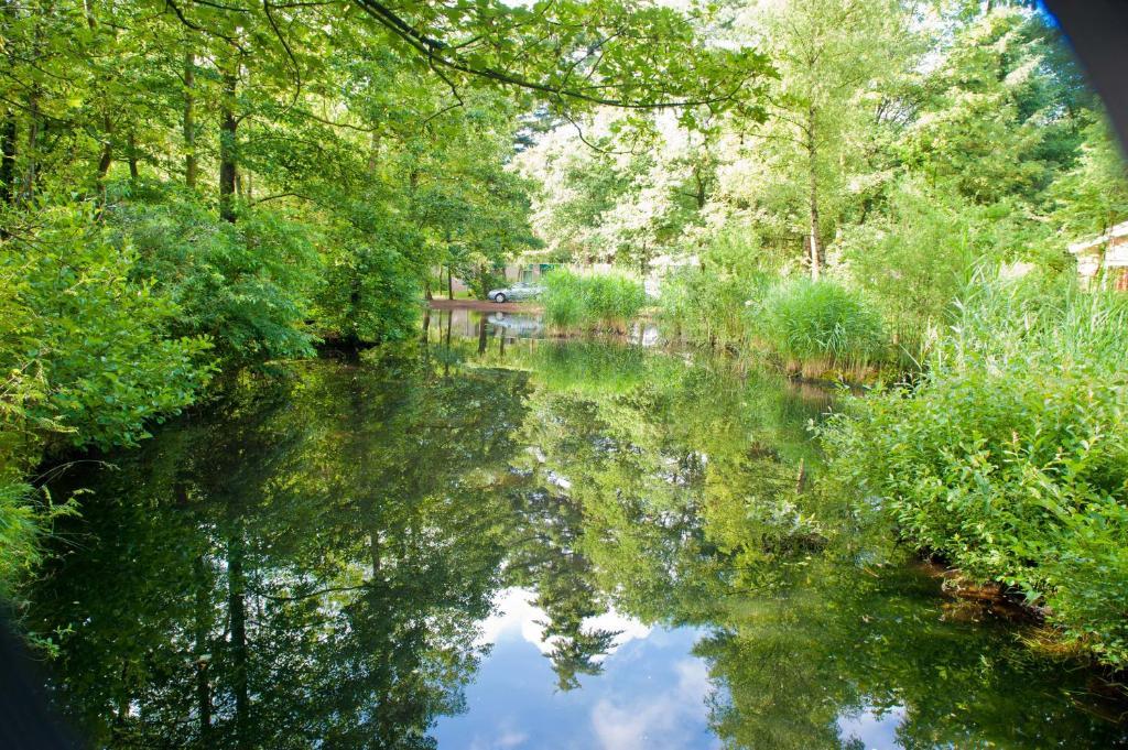 Vakantiepark De Berkenhorst Kootwijk 外观 照片